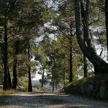 La Pinede Du Frühstückspension Esparron-de-Verdon