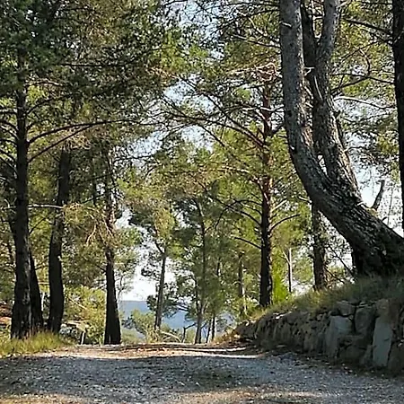 La Pinede Du 4*